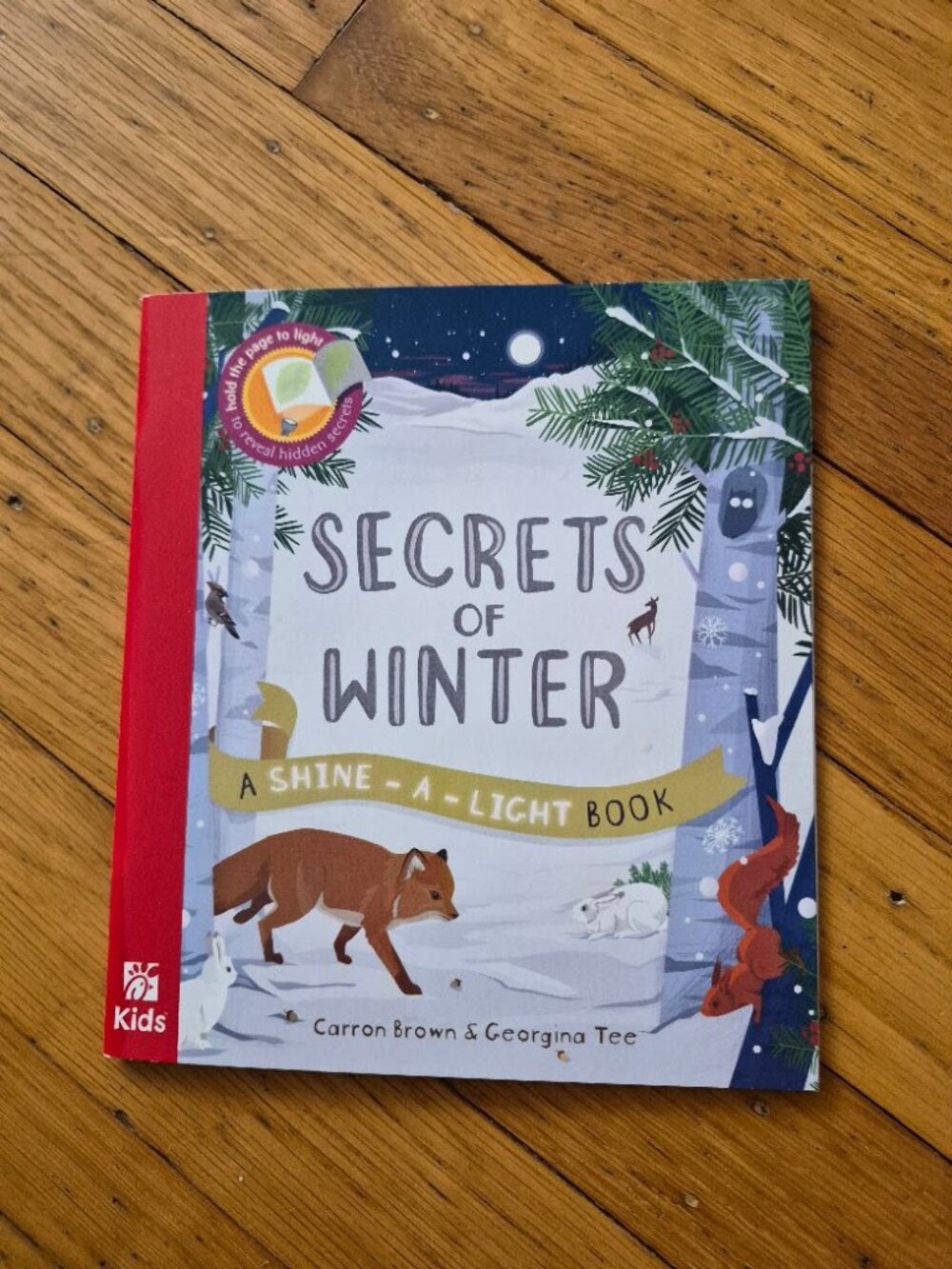 Secrets of Winter- A shine a light book